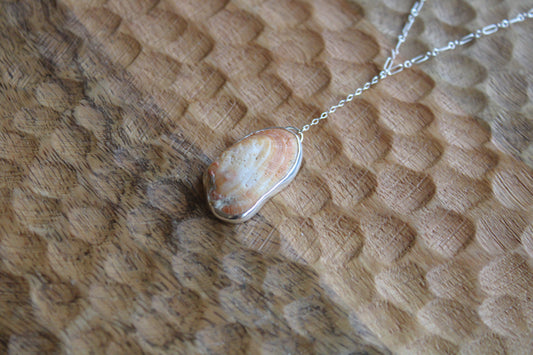 Orange Seashell Necklace
