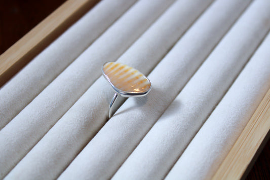Shell Ring