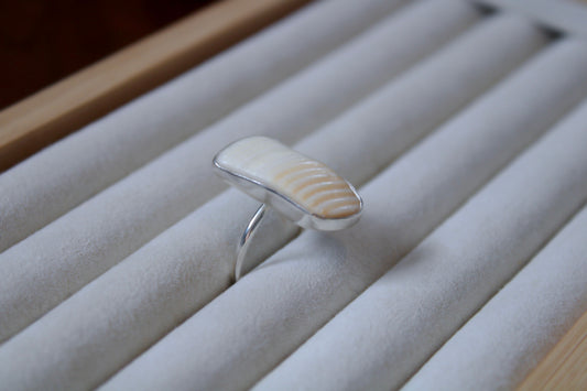 Seashell Ring