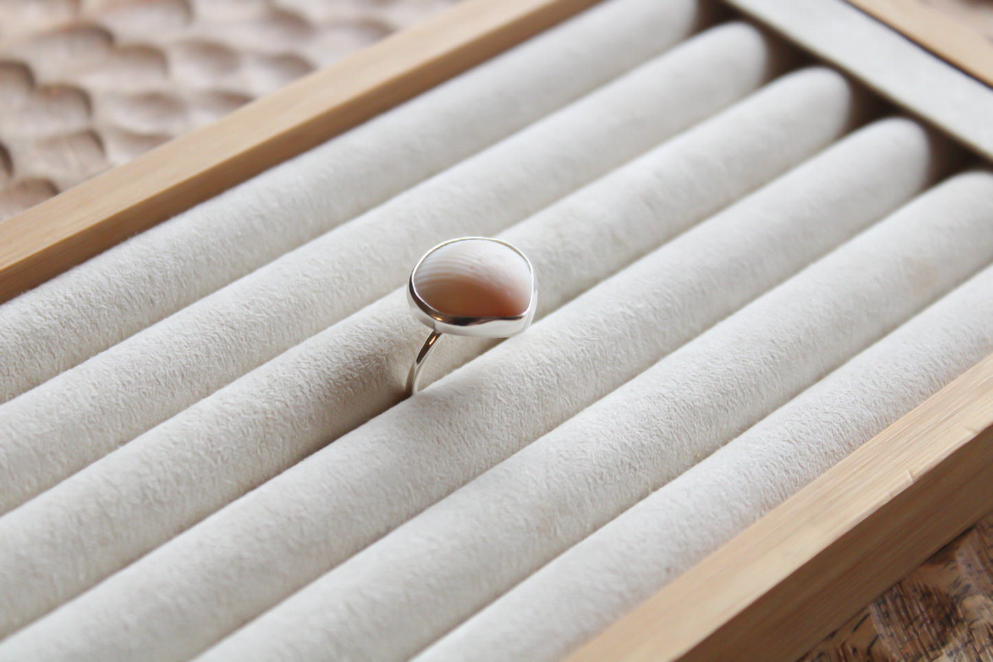 Shell Ring