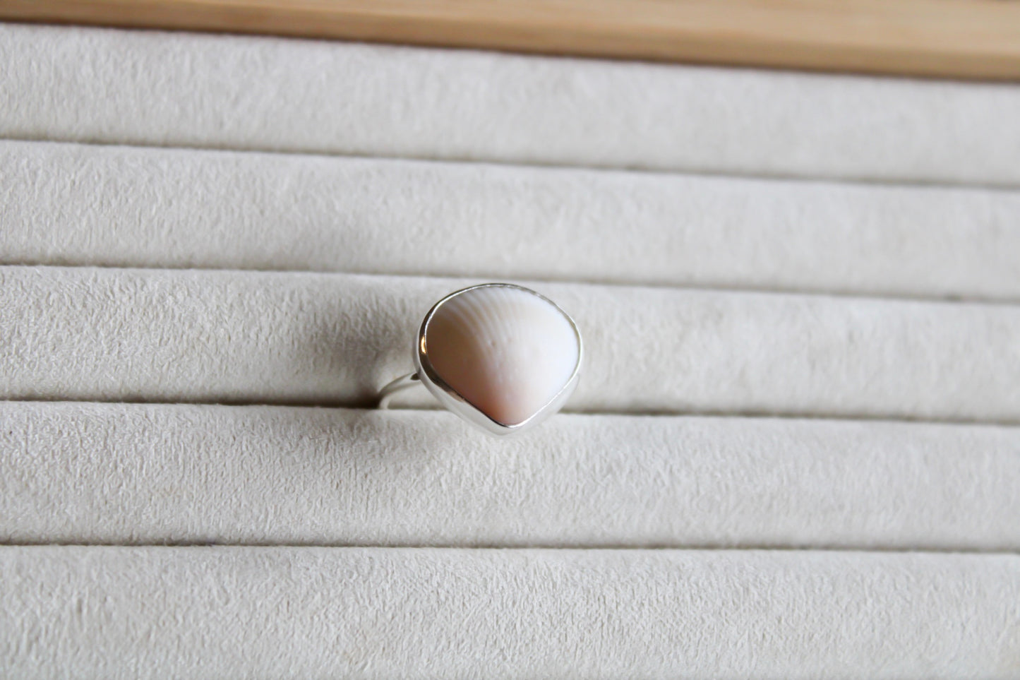 Shell Ring
